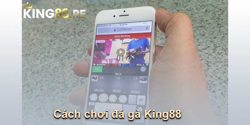 Cách chơi đá gà King88